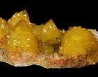 Sunshine Cactus Quartz Crystal - South Africa #98388-2